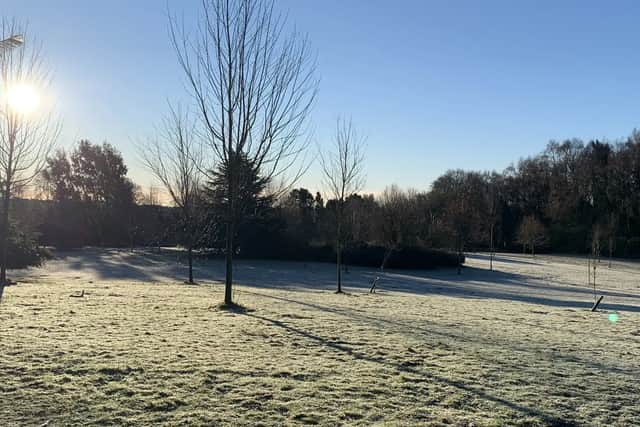 Golden Acre Park and Adel Dam Nature Reserve