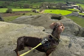 These are the walks that users of the free AllTrails app think you should be checking out this spring and summer