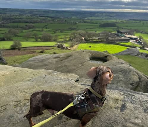 These are the walks that users of the free AllTrails app think you should be checking out this spring and summer