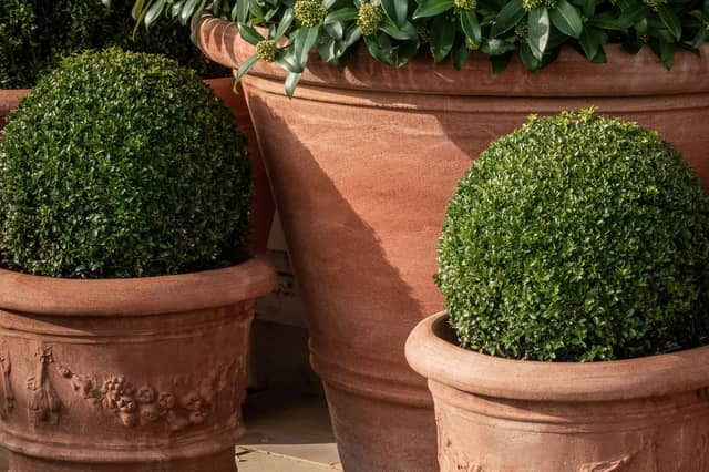 Luxury terracotta planters from Ornamenti by Lapicida bring timeless style and structure to the garden. Prices from £119 Ex VAT