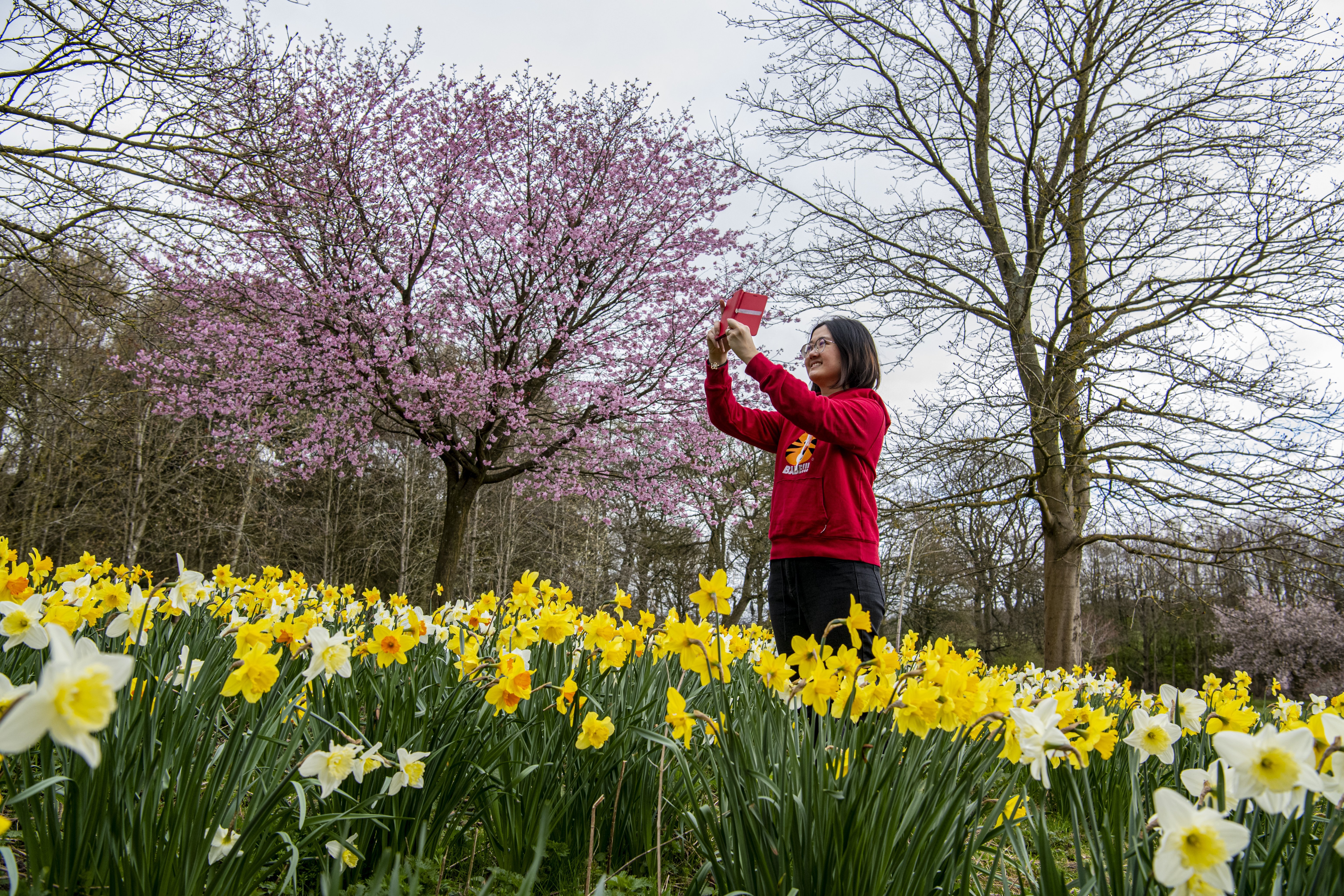 Council reveals major car park revamp at Leeds beauty spot following fee backlash