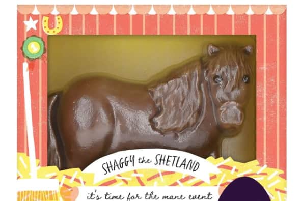 M&S Shaggy The Shetland Pony Easter Egg