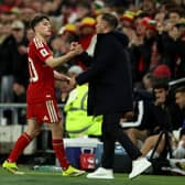 Daniel James was taken off during normal time against Bosnia.