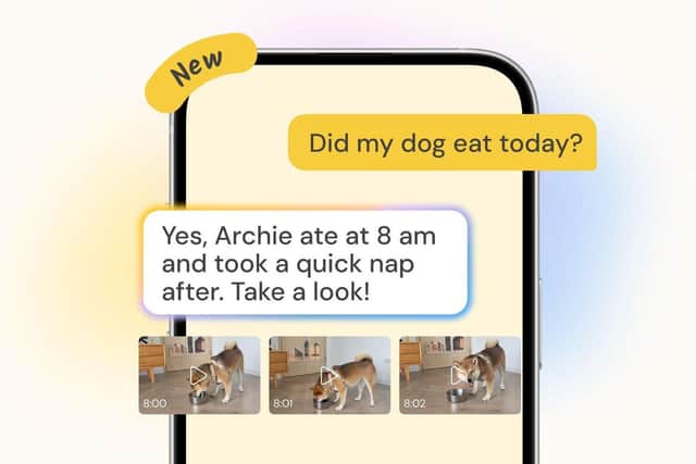 The Furbo Nanny system acts as a personal supervisor for your pet - but there is a monthly fee