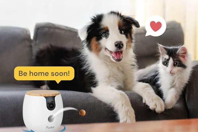 Furbo also makes cheaper, more compact cameras