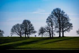 Parkland suburb; family-focused; premium living.