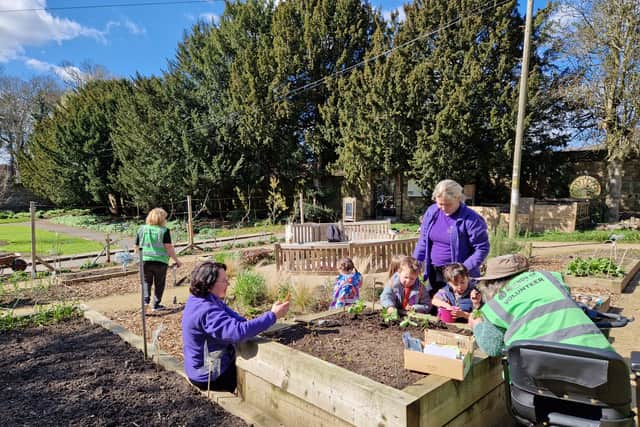 Children from a local nursery helping out in the garden.