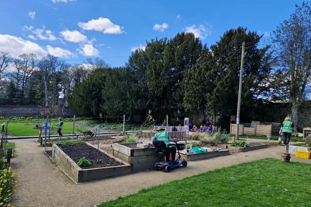 The garden opened in 2025.