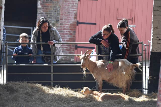 Families  at Temple Newsam Park and Farm.