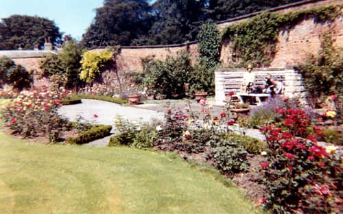 Lotherton Hall's walled garden in 1963. The garden was designed at the end of the 19th century by Mrs Laura Gwendolen Gascoigne, the wife of Colonel Frederick R.T.T. Gascoigne who inherited the estate in 1893.