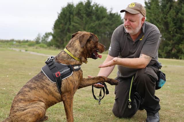 Dogs Trust has received over £30 million in funding since 2014.