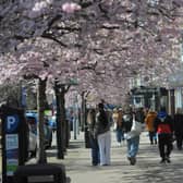 But planning officers refused to grant permission, arguing it would be an “incongruous and strident feature” on The Grove in Ilkley (pictured). 