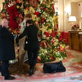 Take Back Power targeted the Ritz Hotel by emptying bags of manure next to its Christmas tree  