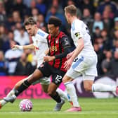 Bournemouth's former Whites midfielder Adams had been out of with a quadriceps injury which kept him out of Bournemouth's two games before the March international break and the two USA friendlies in the break itself. Adams, though, regained his fitness during the break and has bagged 45 minutes from the bench in the last two games against Arsenal and Newcastle.