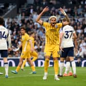 JOKEY RESPONSE: To a huge goal from ex-Leeds United star Georginio Rutter, above.