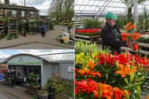 Anyone for a spot of gardening before the summer arrives, by chance?