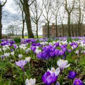 Temple Newsam grounds in Leeds.