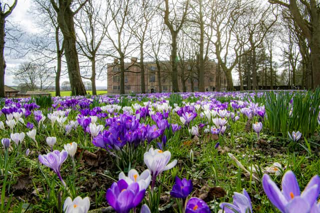 Temple Newsam grounds in Leeds.