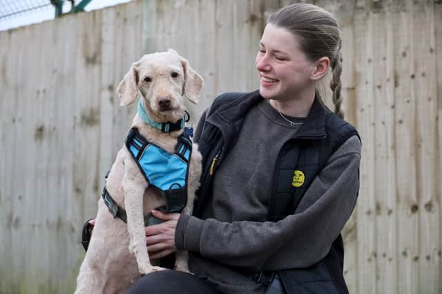 Kitty was one of over 250 poodle-crosses rescued from a single address in Nottingham