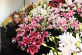 Gemma Miller amongst the lilies by Harts Nursery , who won a Premier Gold Award in the Grand Floral Hall.