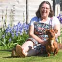 Lindy Fox has fostered 100 dogs with the Dogs Trust, with Nacho becoming her century foster - and now, a trip to Buckingham Palace.