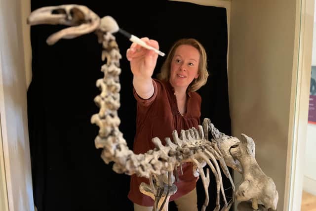 Clare’s days can involve creating exhibitions, cataloguing specimens, helping researchers and loaning items to organisations across the world