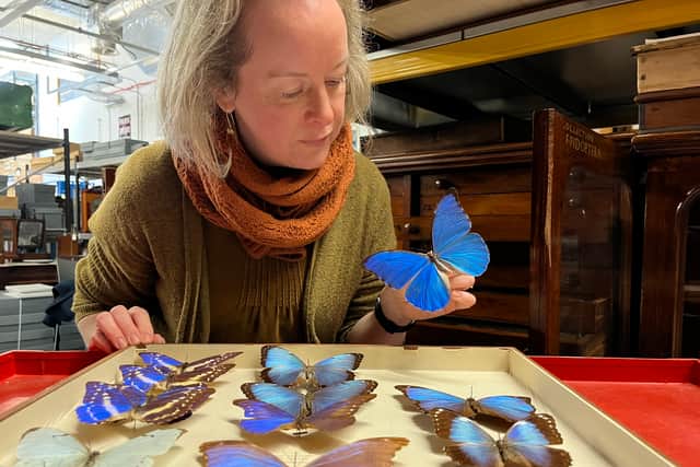 Leeds’ collection dates back more than 200 years, with collecting beginning in 1821