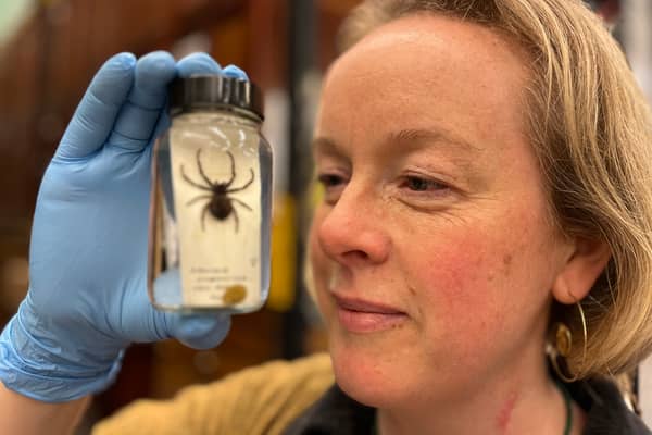 Clare Brown is one of the curators of natural science at Leeds Museums and Galleries