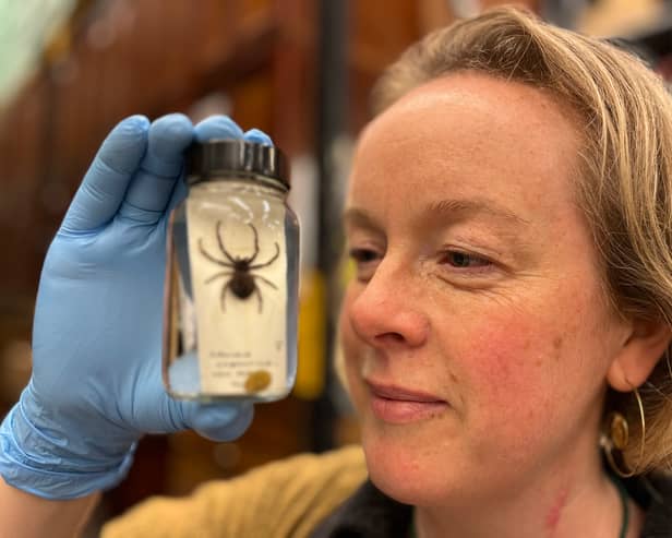 Clare Brown is one of the curators of natural science at Leeds Museums and Galleries