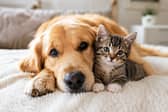 This service promises you serious savings on treats and treatments