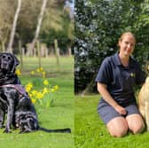 Here is a look inside the Guide Dog training centre in Thorner, Leeds