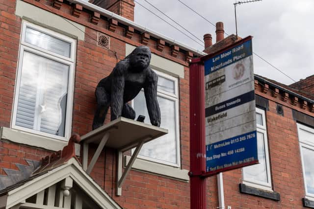 Adele Teale's 4-ft tall gorilla nicknamed 'Caesar' which has caused a stir in Stanley, Wakefield.