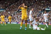 Jaka Bijol was involved in a first-half Leeds United penalty claim against Brighton.