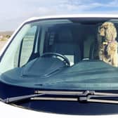 An outdoor temperature of 21 degrees is said to reach 32 inside a car in as little as 10 minutes.