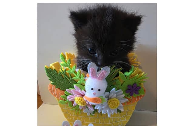 Mumble is one of the charity's youngest rescues