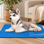 The bestselling Pecute cooling mat is designed to help dogs stay comfortable during warmer summer weather.