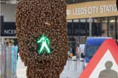 Footage shows bees swarm around a traffic light at Leeds City Station