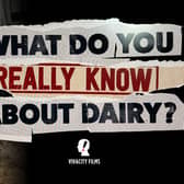 Viva!'s new documentary will be the UK's first to challenge decades of 'dairy industry spin'