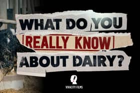 Viva!'s new documentary will be the UK's first to challenge decades of 'dairy industry spin'