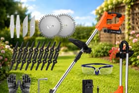 The LIVENTO cordless strimmer includes interchangeable blades and two rechargeable batteries for tackling lawns and overgrown borders