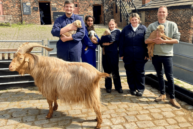 The £6 million upgrade to Leeds City College’s School of Animal Care and Land Management at Temple Newsam Home Farm is underway