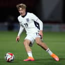 PRO DEAL: For former Leeds United youngster and England youth international striker Oliver Boast at Tottenham.