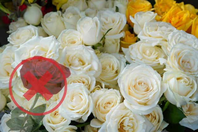 Don't mention the war... of the roses was advice dispensed by plenty of fathers towards those readers who commented on the YEP Facebook page.