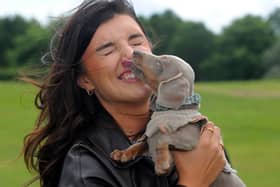 Can you spot any of your canine companions in our gallery from this weekend’s Paws in the Park show?