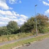 Affordable homes would be provided if a developer is given permission to build 38 houses on a site at Turkey Hill.
