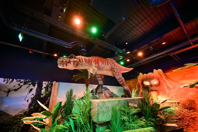 Boasting prehistoric courses, interactive electric darts lanes, and a licensed bar, Volcano Falls has officially launched on The Balcony.
