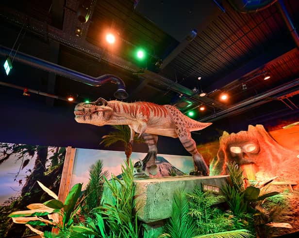 Boasting prehistoric courses, interactive electric darts lanes, and a licensed bar, Volcano Falls has officially launched on The Balcony.
