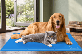 The extra-large Pecute mat gives dogs a spacious cooling surface for warmer days at home or while travelling