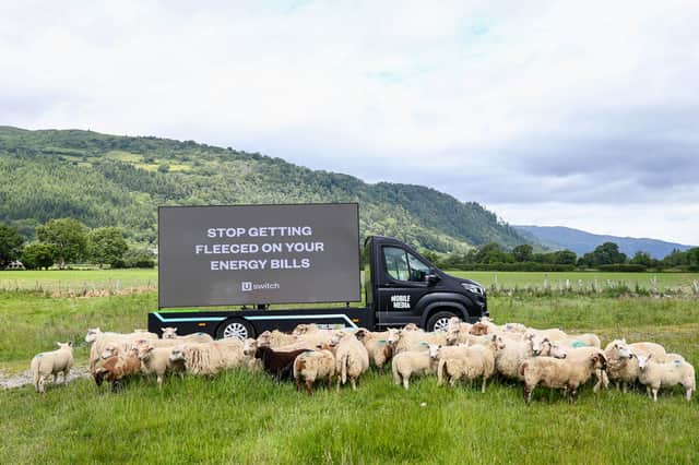 Electric digi-vans, showing a live timer counting down until 1 July, have travelled through major cities across England, Scotland and Wales