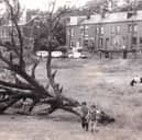 Rough land near Sugar Well Hill pictured in July 1977.